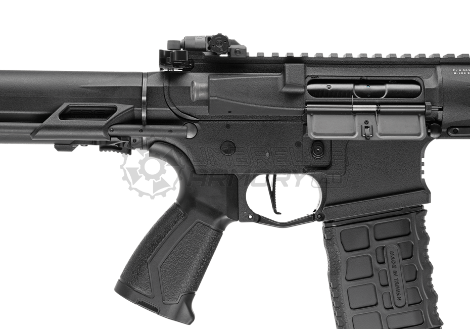 ARP 556 2.0 S-AEG (G&G)