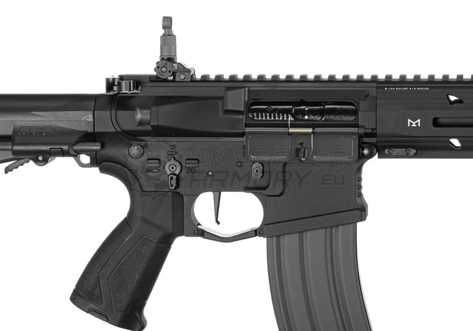 ARP 556 (G&G)